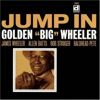 Delmark Golden Big Wheeler - Jump In Photo