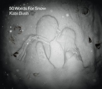 Anti Kate Bush - 50 Words For Snow Photo