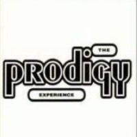 XL RECORDINGS Prodigy - Experience Photo