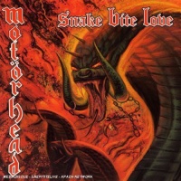 Steamhammer Europe Motorhead - Snake Bite Love Photo