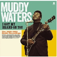 WAXTIME Muddy Waters - I Got My Brand On You Photo