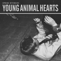 Imports Spring Offensive - Young Animal Hearts Photo
