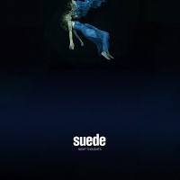 Imports Suede - Night Thoughts Photo