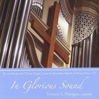CD Baby Terence J. Flanagan - In Glorious Sound Photo