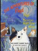 CD Baby The Adventures of Floyd Photo