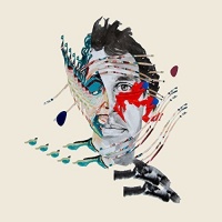 Domino Records Animal Collective - Painting With Photo