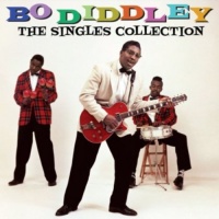 Not Now Bo Diddley - The Singles Collection Photo