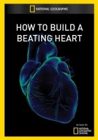 How to Build a Beating Heart Photo