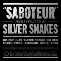 Bridge Nine Records Silver Snakes - Saboteur Photo