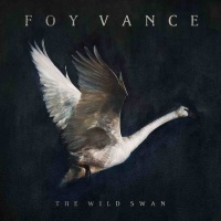 Atlantic Foy Vance - Wild Swan Photo
