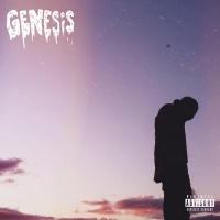 Sony Domo Genesis - Genesis Photo