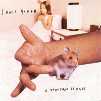 Polydor Sonic Youth - A Thousand Leaves Photo