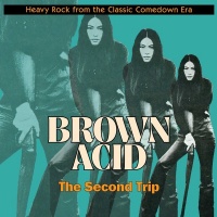 Riding Easy Brown Acid: Second Trip / Various Photo