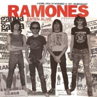 RADIO SILENCE Ramones - Eaten Alive - 4 Acres Utica Ny November Photo