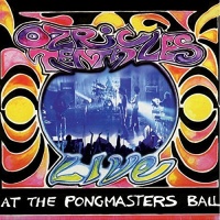 Madfish Ozric Tentacles - At the Pongmasters Ball Photo