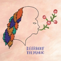Polyvinyl Record Company Deerhoof - Magic Photo