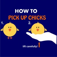 How to Pick up Chicks Womens T-Shirt Navy Photo
