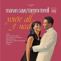 Marvin Gaye & Tammi Terrell - You'Re All I Need Photo