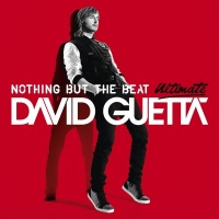 David Guetta - Nothing But the Beat Ultimate Photo