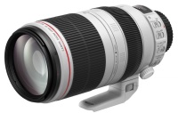 Canon EF 100 - 400 mm F 4.5 - 5.6 L IS Mk 2 USM Zoom Lens Photo