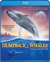 Imax:Humpback Whales Photo