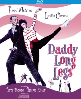 Daddy Long Legs Photo