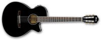Ibanez AEG10NII-BK AEG Series Nylon Acoustic Electric Guitar Photo