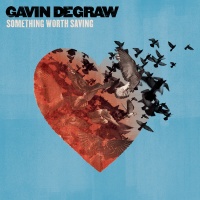 Rca Gavin Degraw - Something Worth Saving Photo