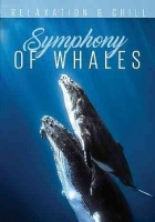 San Juan Relax: Symphony of Whales Photo