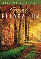 San Juan Relax: Forest Relaxation Photo