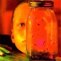 Sony Music Alice In Chains - Jar of Flies / Sap Photo