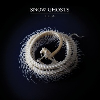 Imports Snow Ghosts - Husk Photo