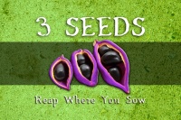 Chara Games LLC 3 Seeds: Reap Where You Sow Photo