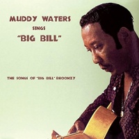 Imports Muddy Waters - Sings Big Bill Broonzy Photo