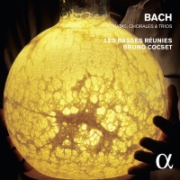 Alpha Bach Bach / Cocset / Cocset Bruno / Les Basses Reu - Bach: Sonates Chorales & Trios Photo