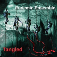 CD Baby Endemic Ensemble - Tangled Photo