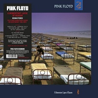Pink Floyd Records Pink Floyd - A Momentary Lapse of Reason Photo