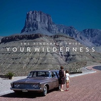 Snapper Music Pineapple Thief - Your Wilderness Photo