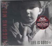 Vanguard Records Flogging Molly - Life Is Good Photo
