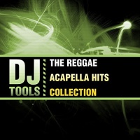 Essential Media Mod DJ Tools - Reggae Acapella Hits Collection Photo