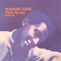 ISLAND Marvin Gaye - That's the Way Love Is Photo