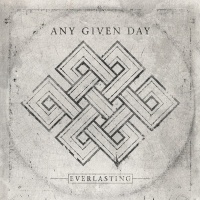 Imports Any Given Day - Everlasting Photo