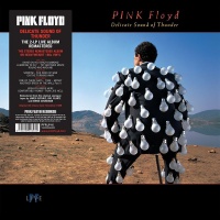 Pink Floyd - Delicate Sound of Thunder Photo