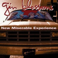POLYDORUMC Gin Blossoms - New Miserable Experience Photo
