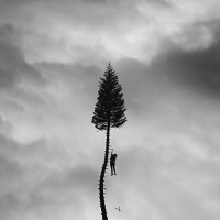 Loma Vista Manchester Orchestra - Black Mile to the Surface Photo