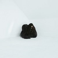 Sargent House Chelsea Wolfe - Hiss Spun Photo