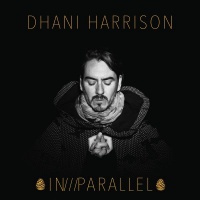 Imports Dhani Harrison - In///Parallel Photo