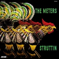 Imports Meters - Struttin Photo