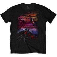 Pink Floyd - The Wall Flag & Hammers Mens Black T-Shirt Photo