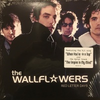 Wallflowers - Red Letter Days Photo